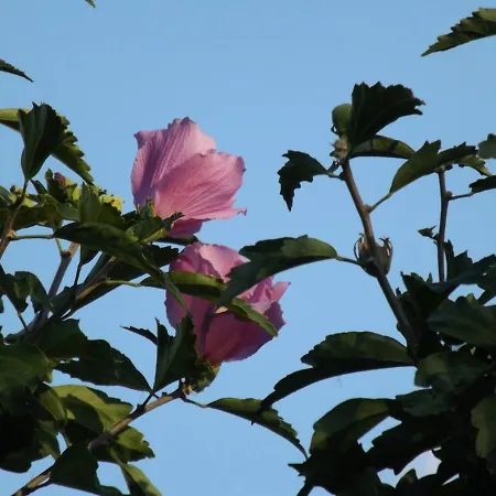 Casa de Férias Luxurius Comfy 2-floor With Big Yard