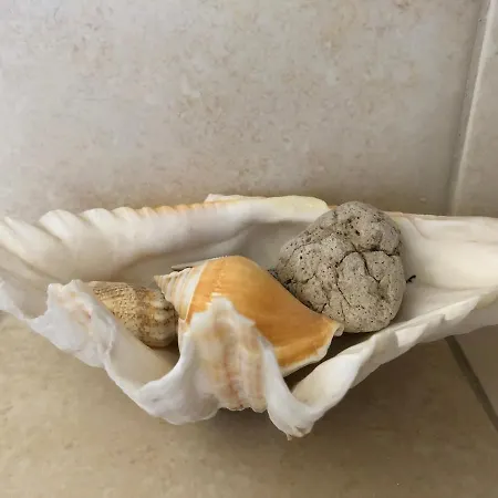 Luxurius Comfy 2-floor With Big Yard *